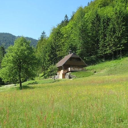 Apartmaji Brloznica Pod Veliko Planino Luče Δωμάτιο φωτογραφία